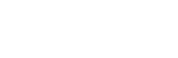 Samsung Experience Store (SES)